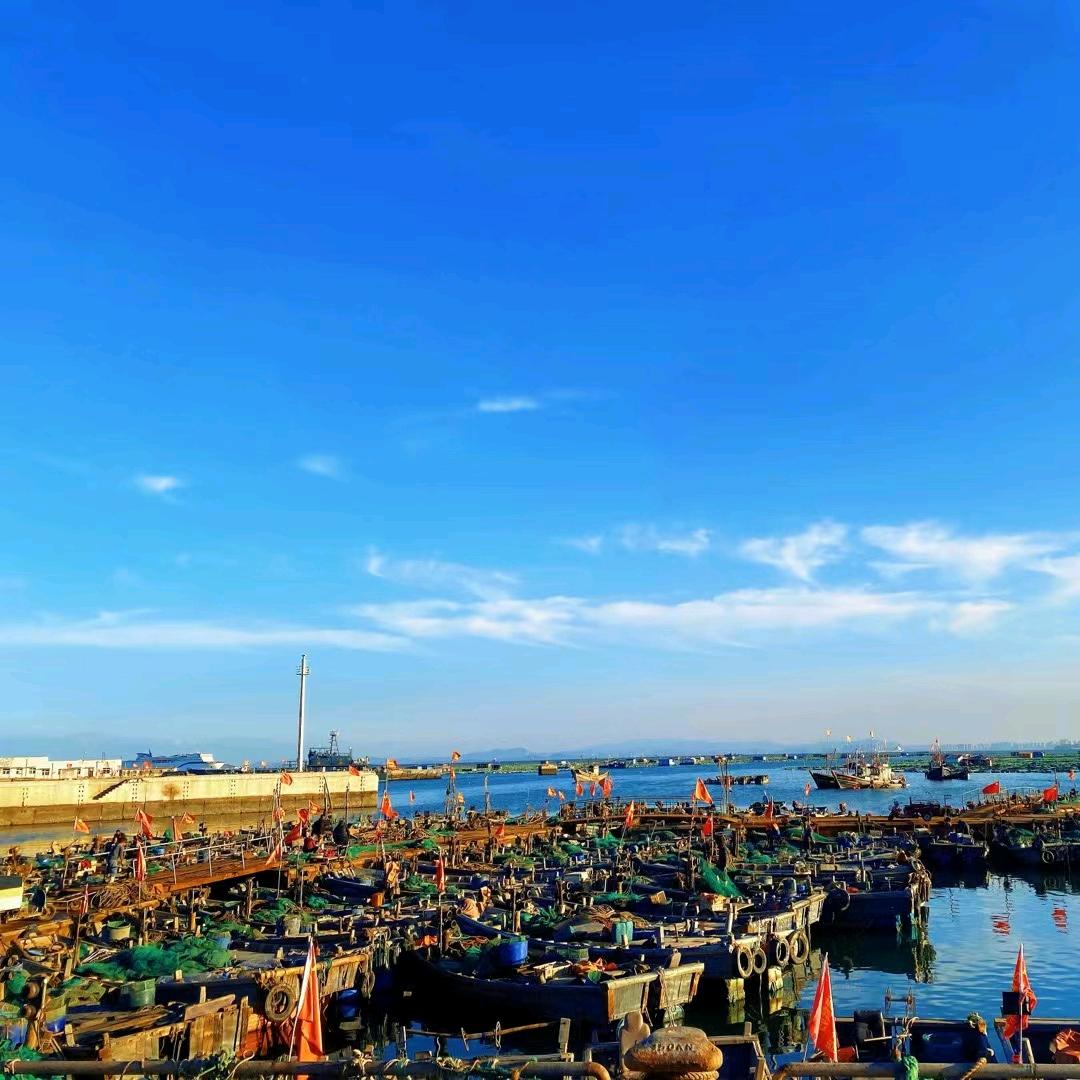 🌊🌊🌊🦀️烟台王鲜生🐠