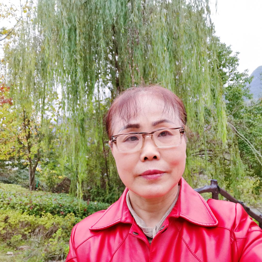雪梅壁纸