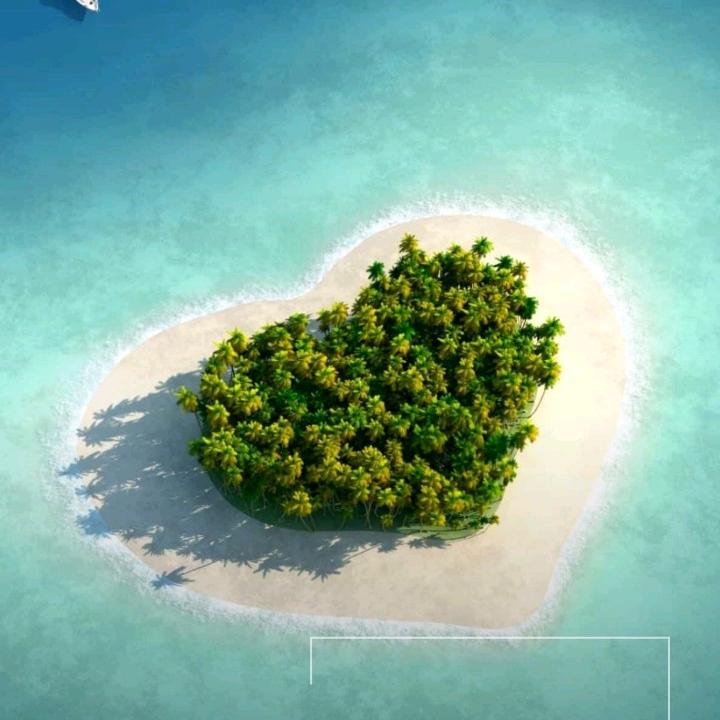 ٭ve💓⃝陈入ᨶᩣᩘ杨心᭄ꦿ࿐🦁🦁