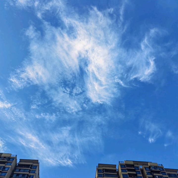 丫丫科技