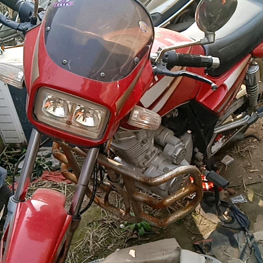 jincaiba5600