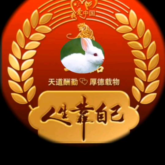 勇往直前，