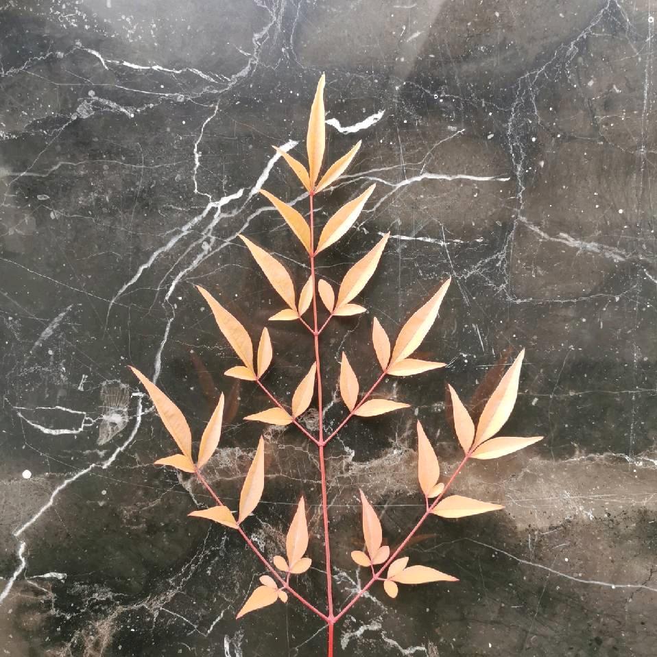 大道至简（早七点直播）