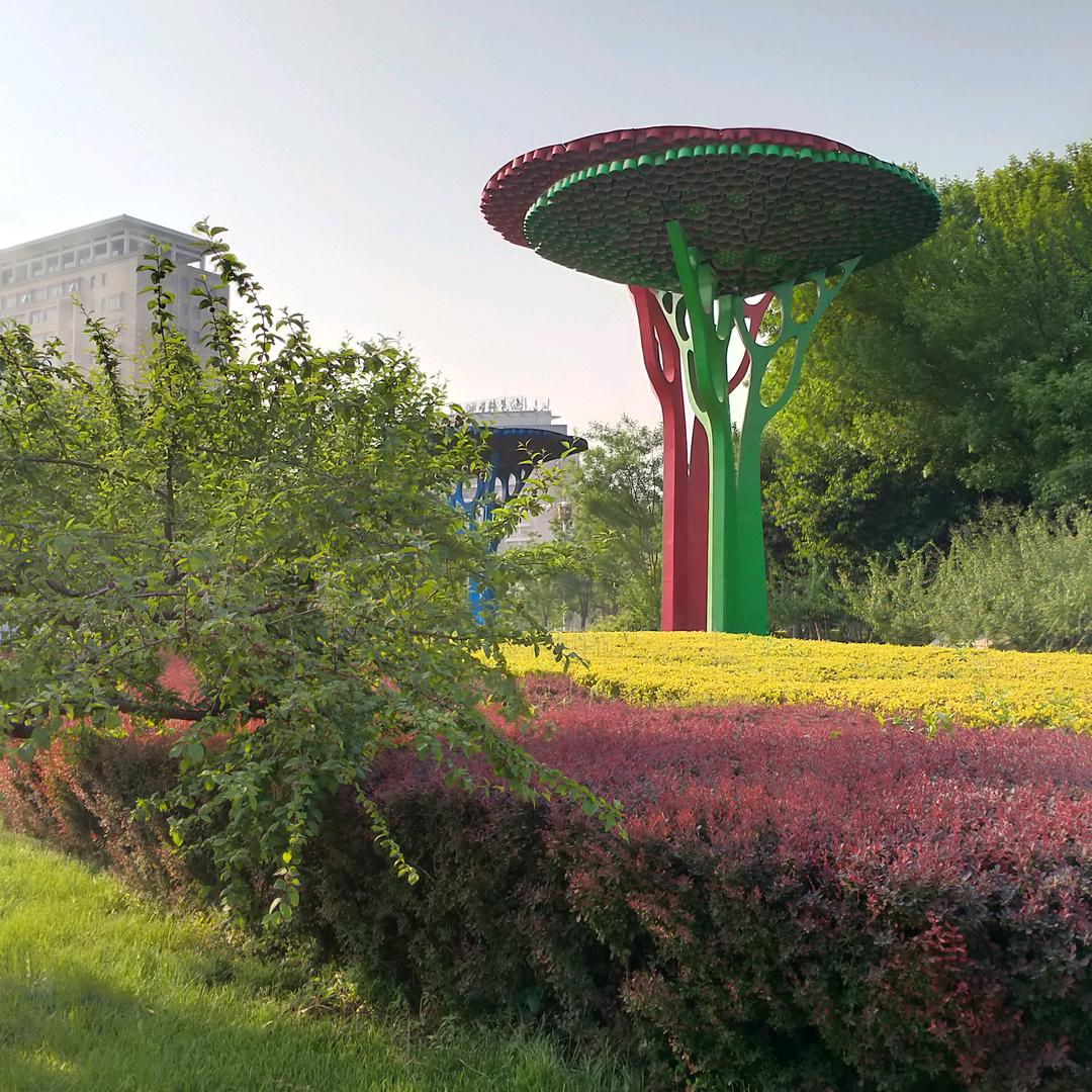 我愿一生把你陪