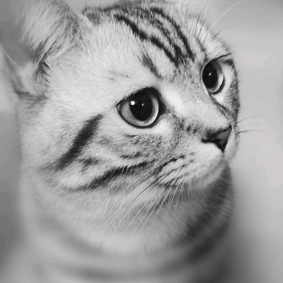 晓晓33018411404