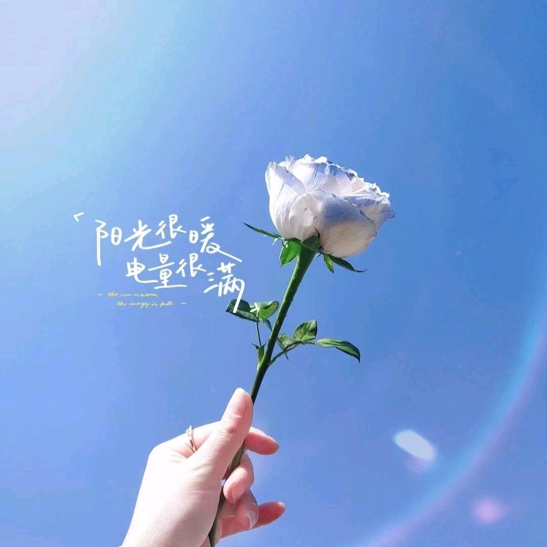 糖豆豆