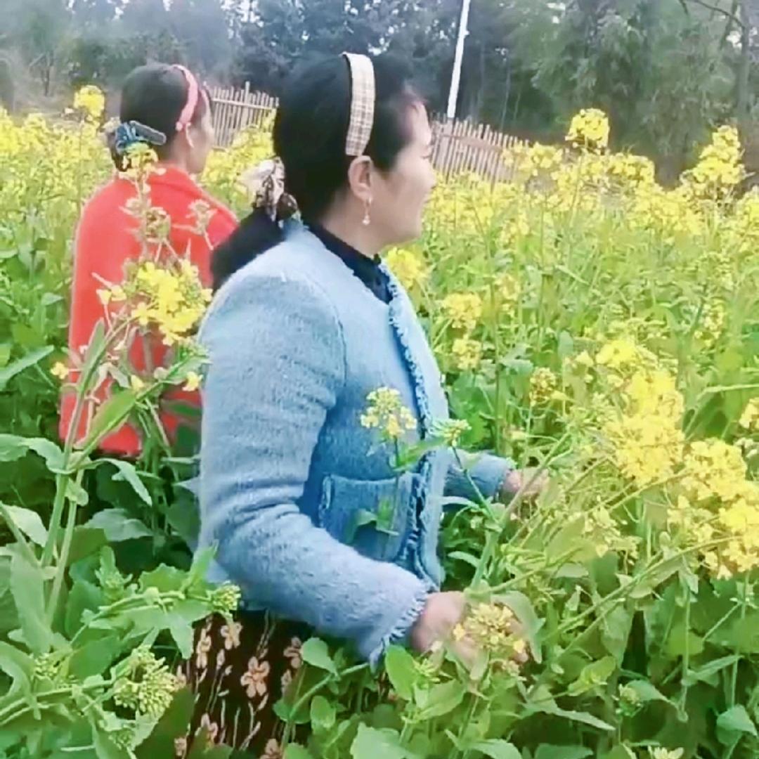 笑容如花
