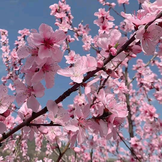 邝姐姐（商品在橱窗）