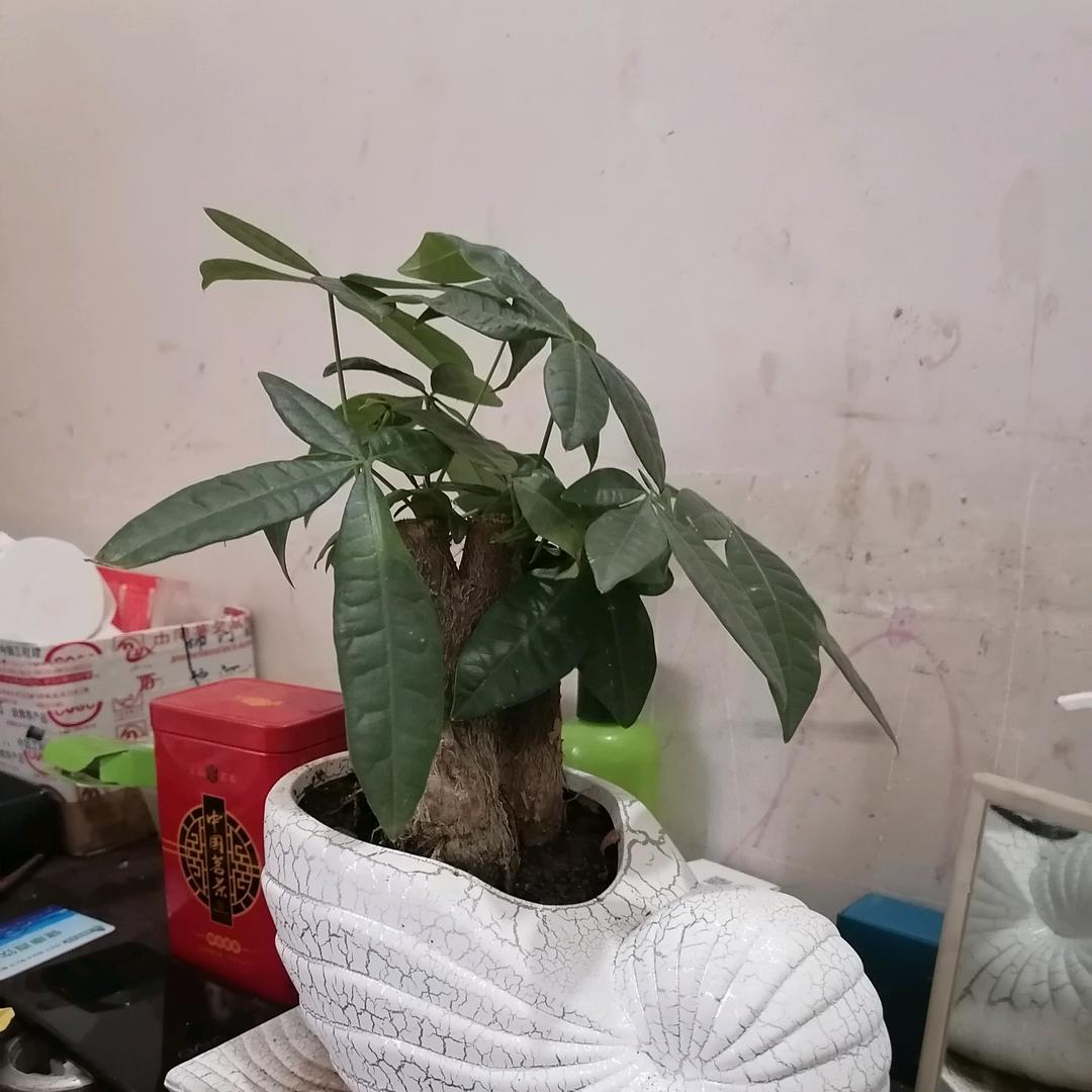 .茫茫人海