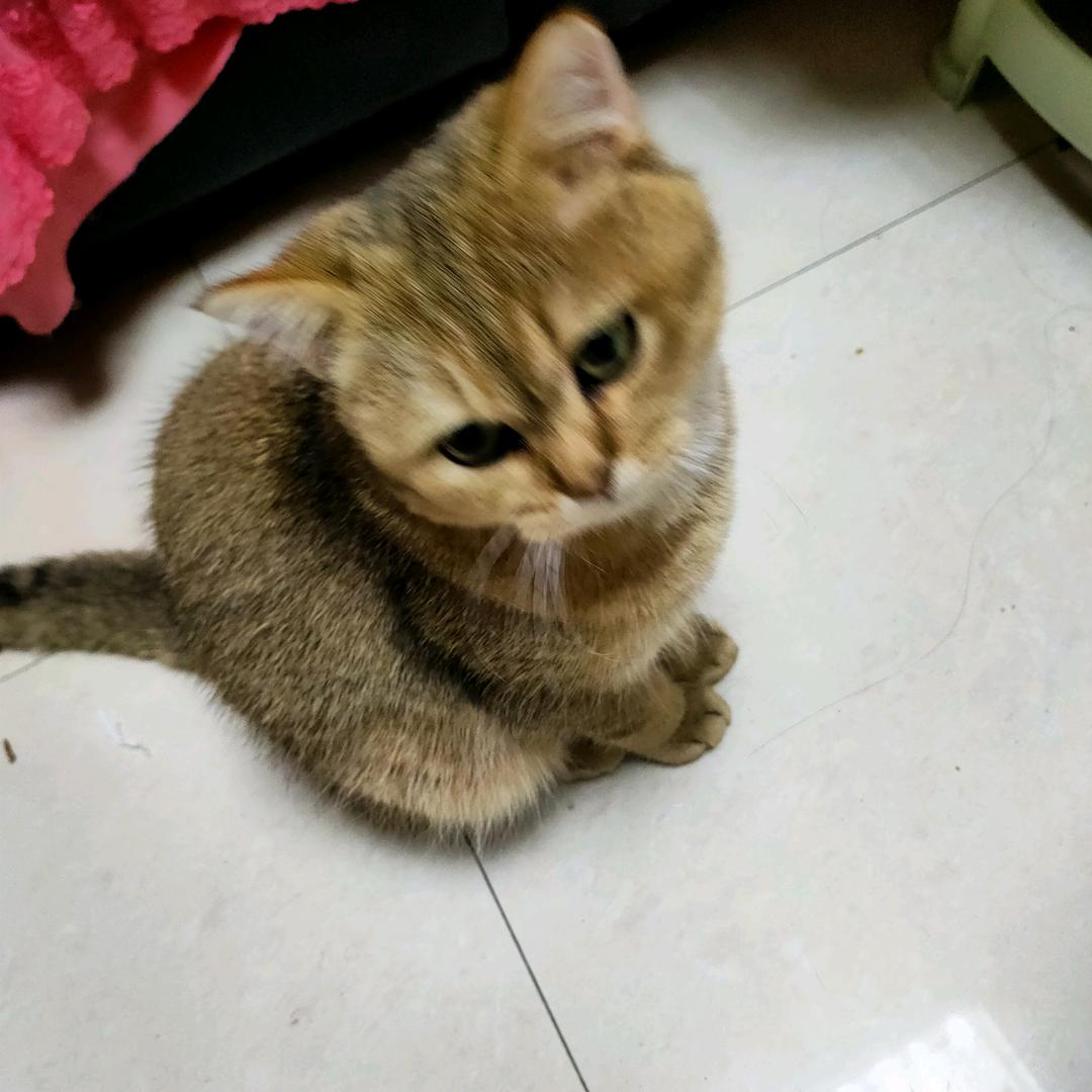 🌈🌈遥不可及