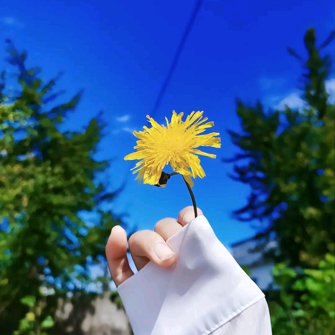 明天！你好！！