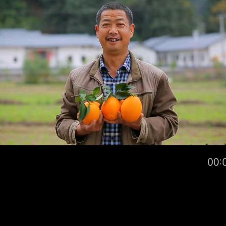 橙天下果业早上6点9分首播