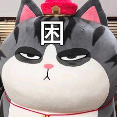 中场阴谋家