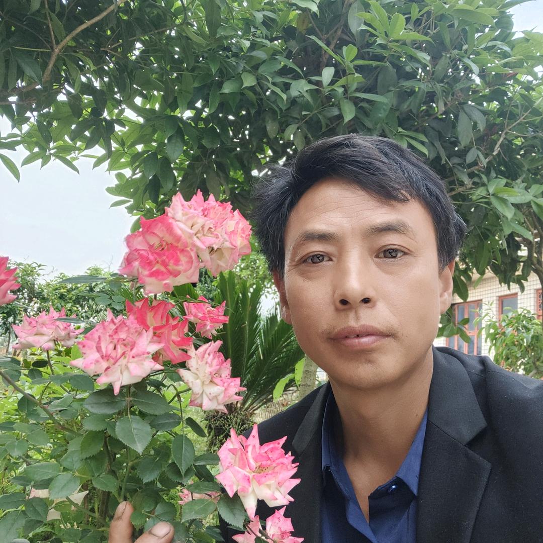 美佳钢结构
