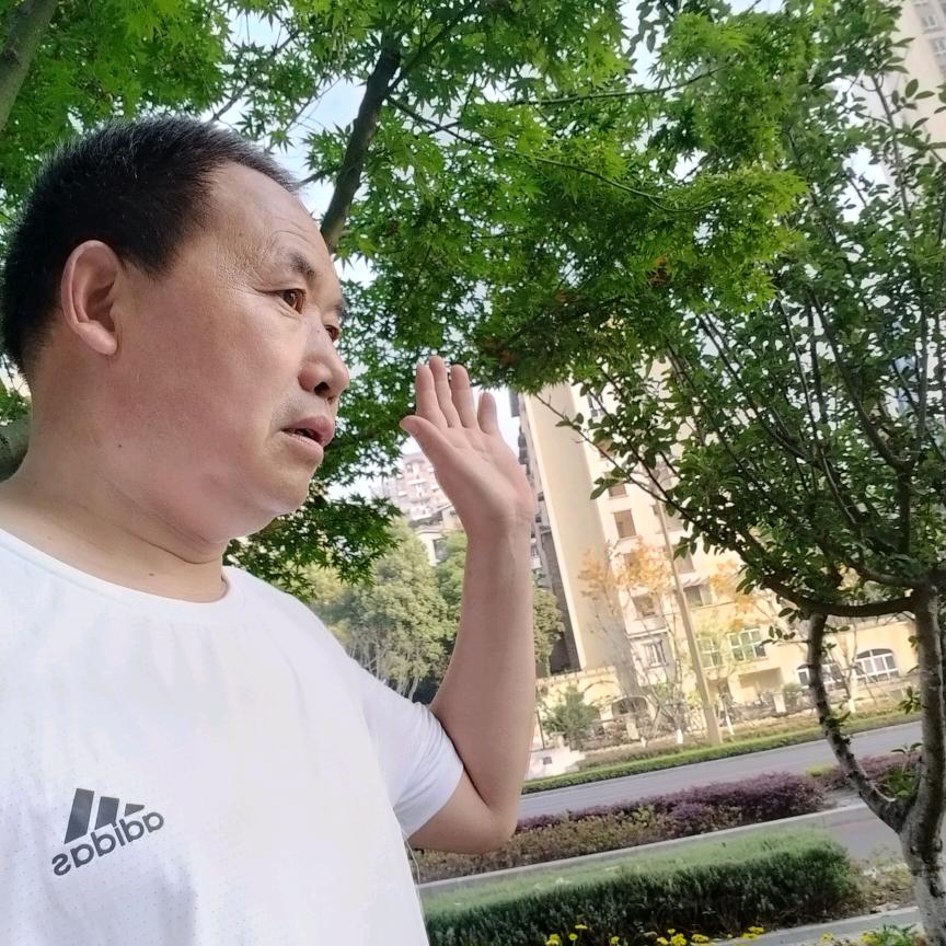 樊木头！
