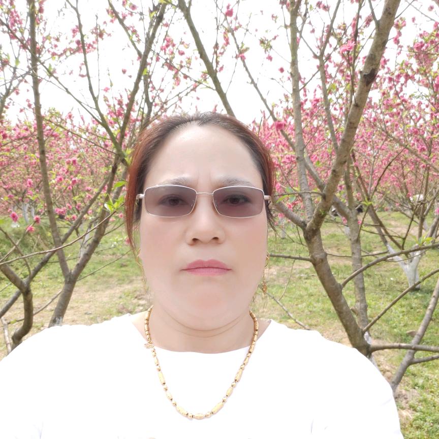 合江赤水长沙贵阳专线车