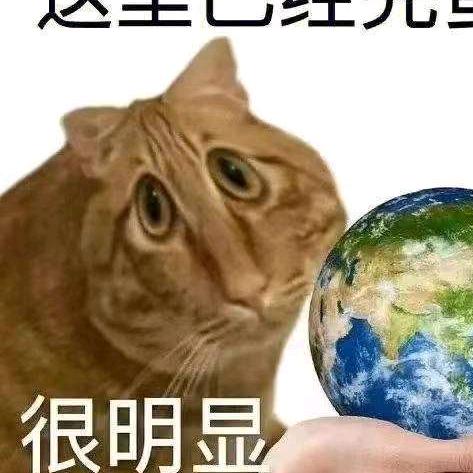 麻辣小卤鸽