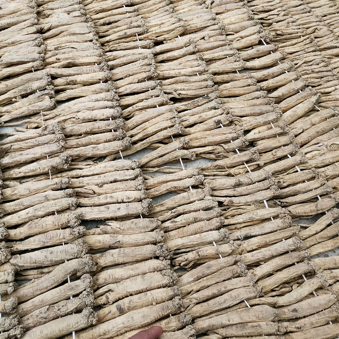 陇上纹党生！黄芪！当归