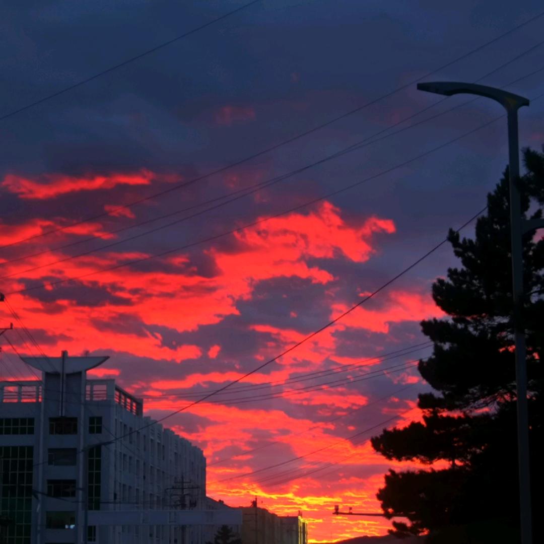 🥰  w.aᴗn.g  🥰