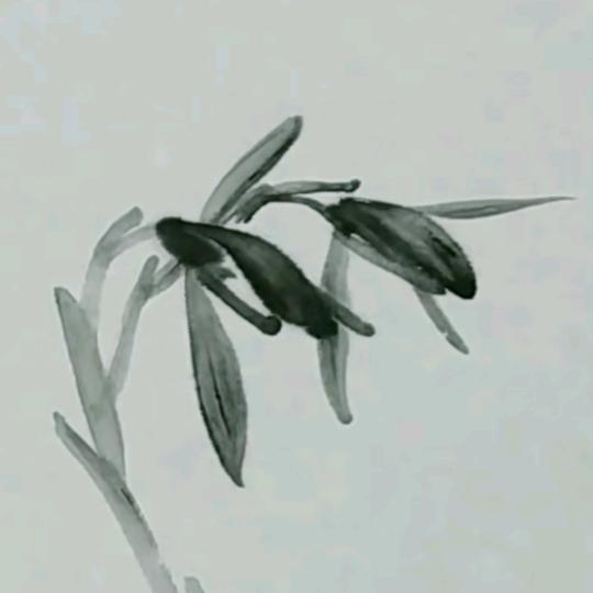 兰痴