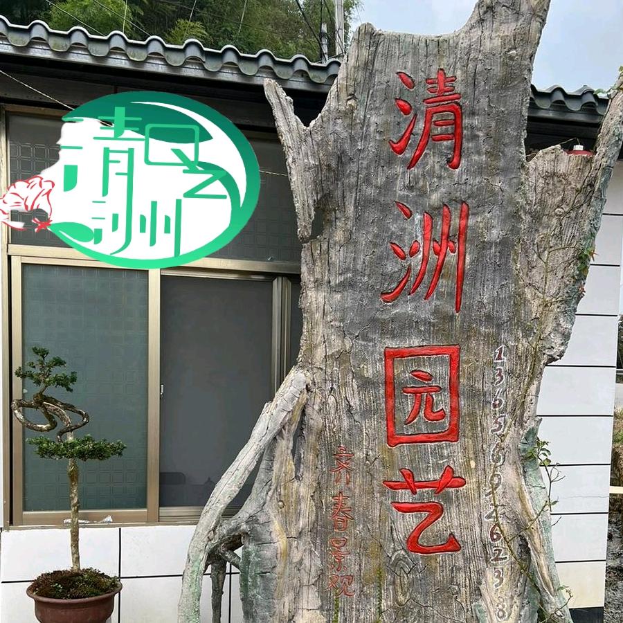 清洲花木场