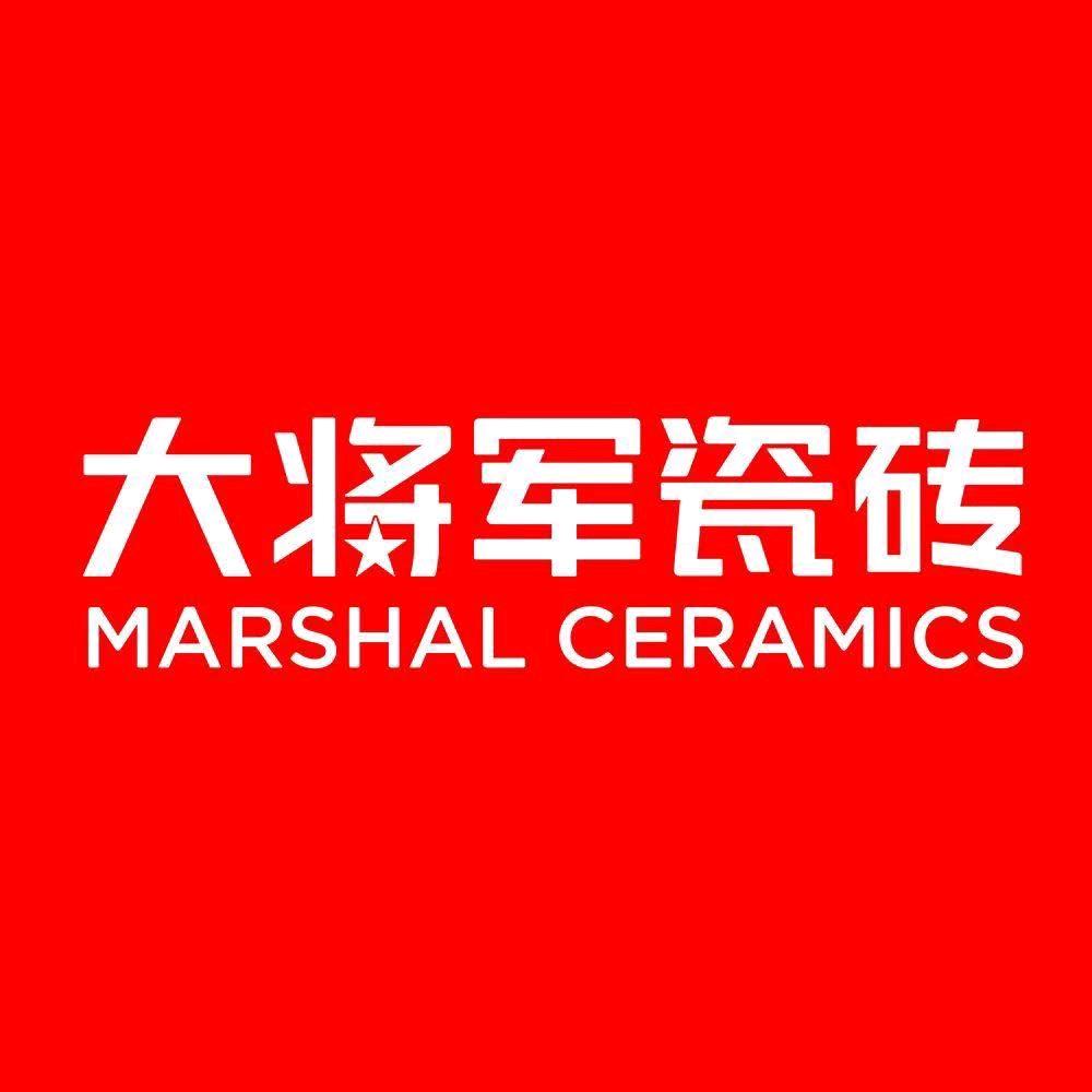 大将军瓷砖巴彦淖尔临河店