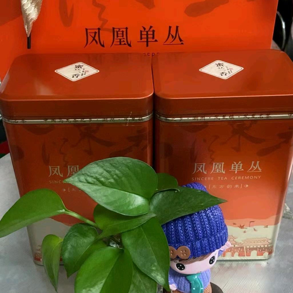 小魏凤凰单丛茶-原产地