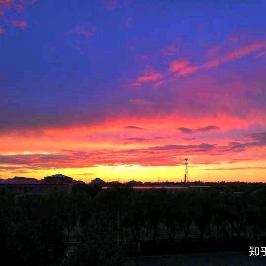 小虎牙