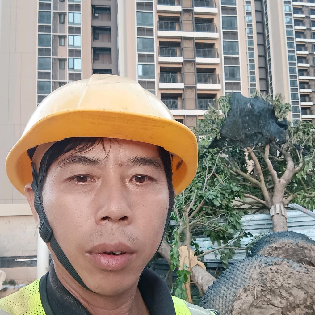 龙腰舌