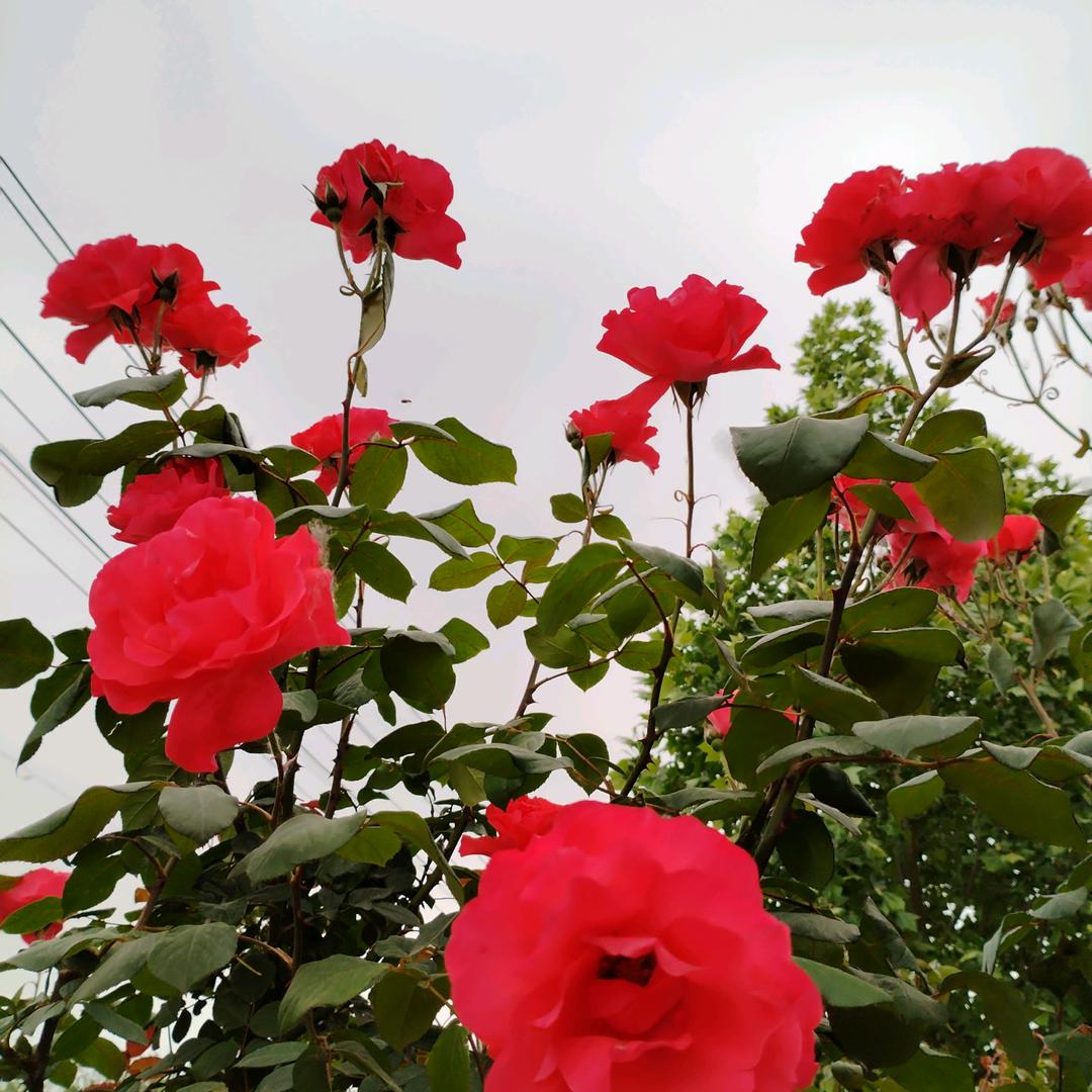 一生平安🌻万事如意