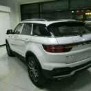 A富哥，园林绿化工程队