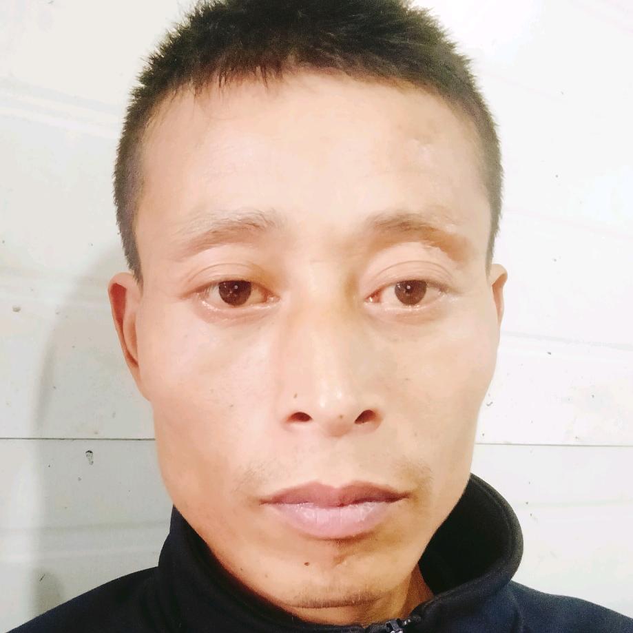 风中落叶