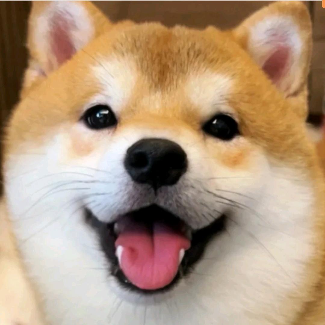篠