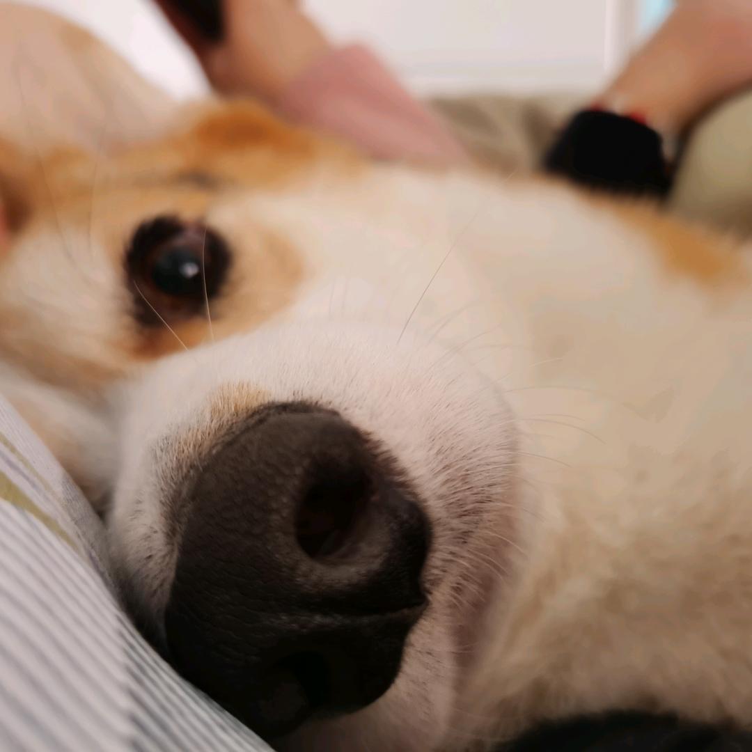 阴天。。。。