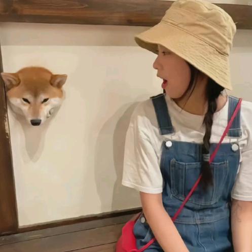 清洁甄选养护工厂