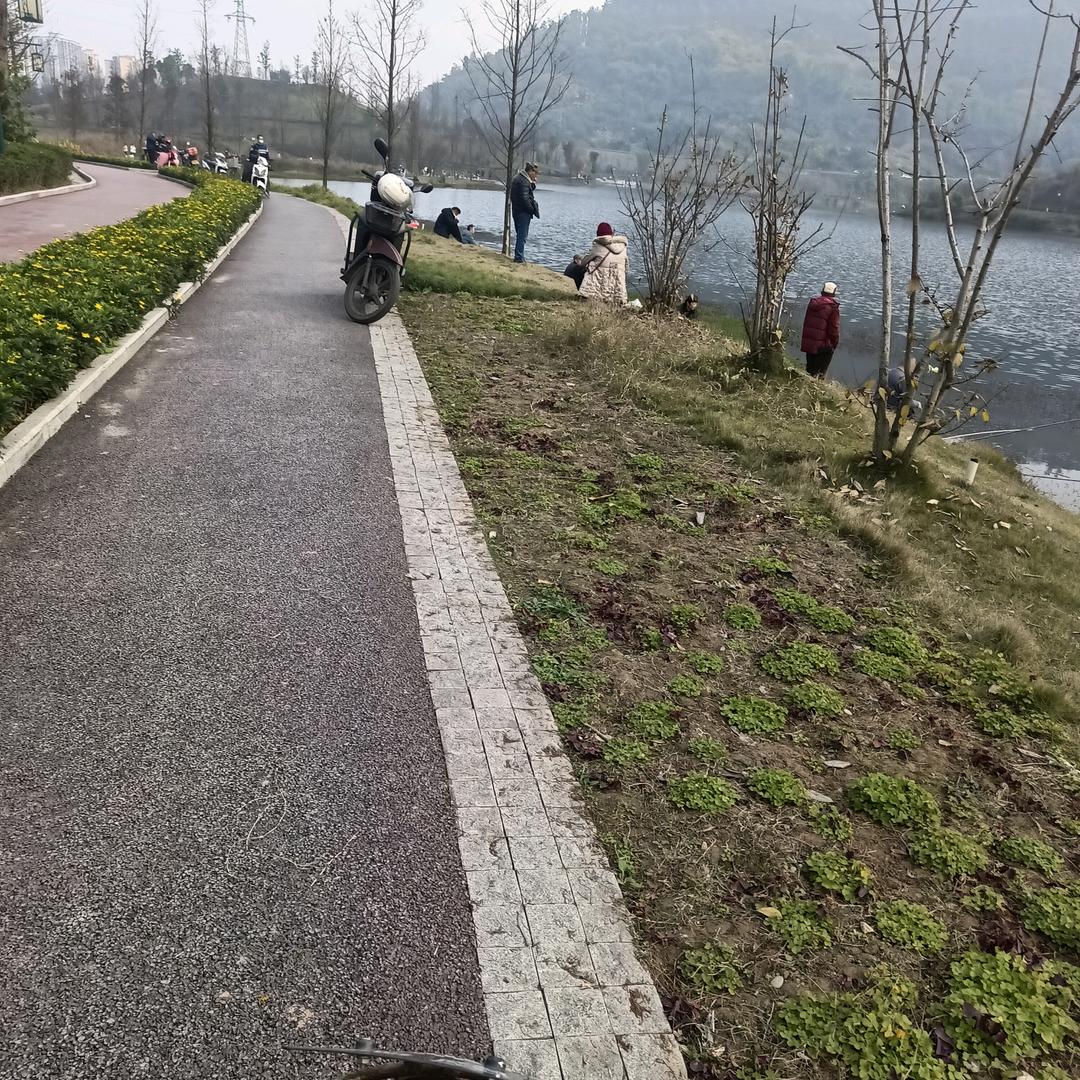 陈师