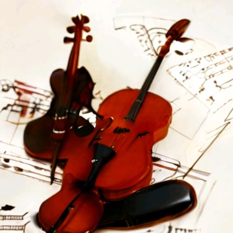 王弦🎻𝓥𝓲𝓸𝓵𝓲𝓷
