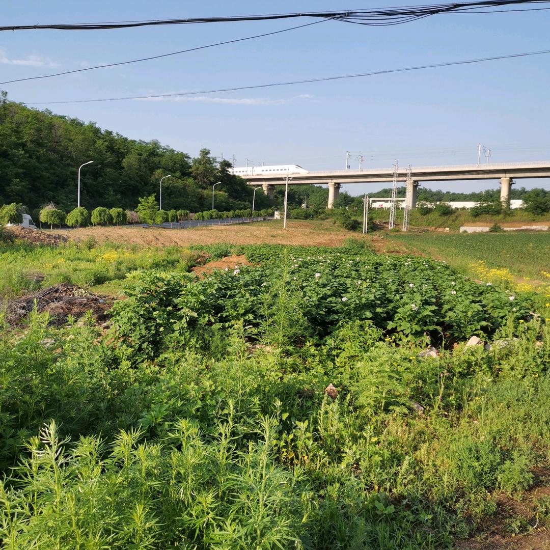 没安全感的疯子