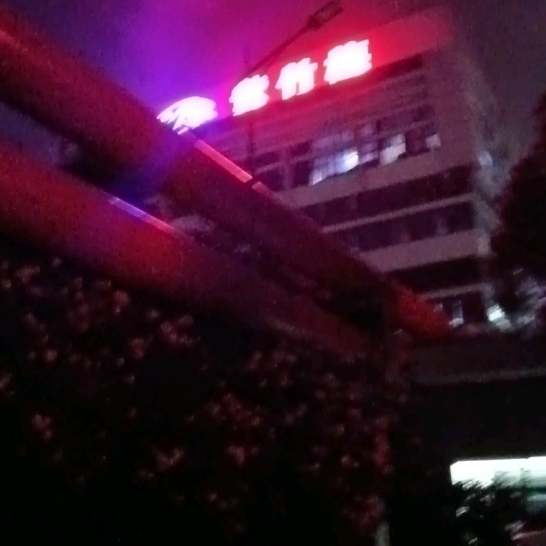 朱妹