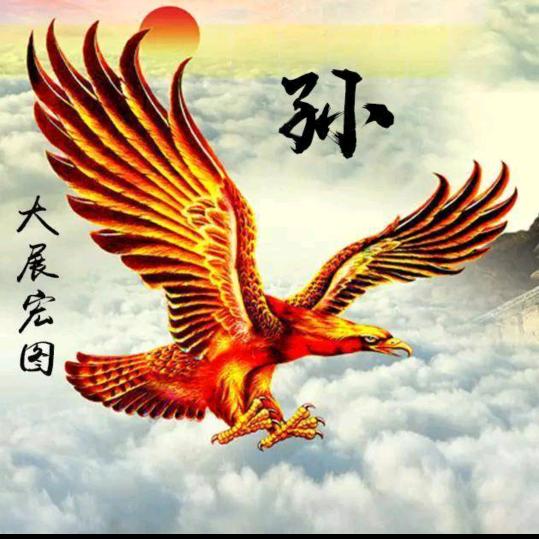 《海鸥之风》