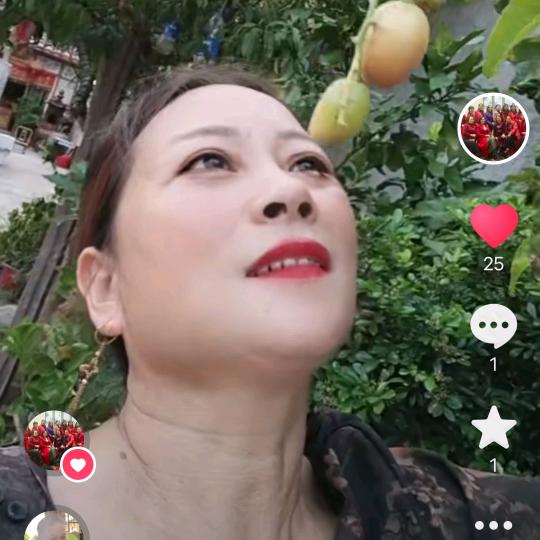 林素华aaā