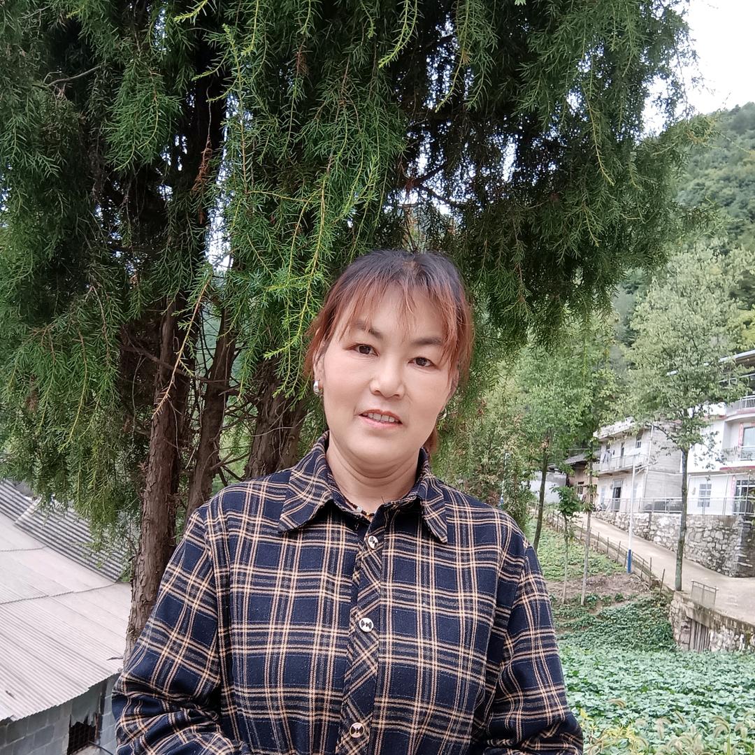 刘姐1