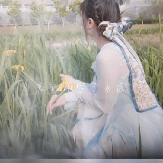 云菇娘