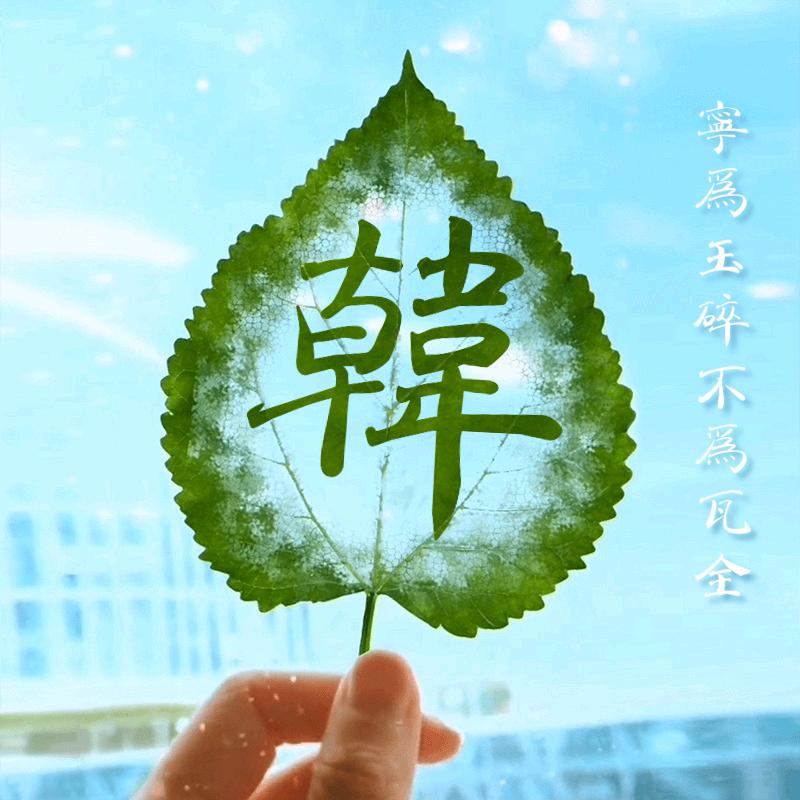 雅阁旭萱_