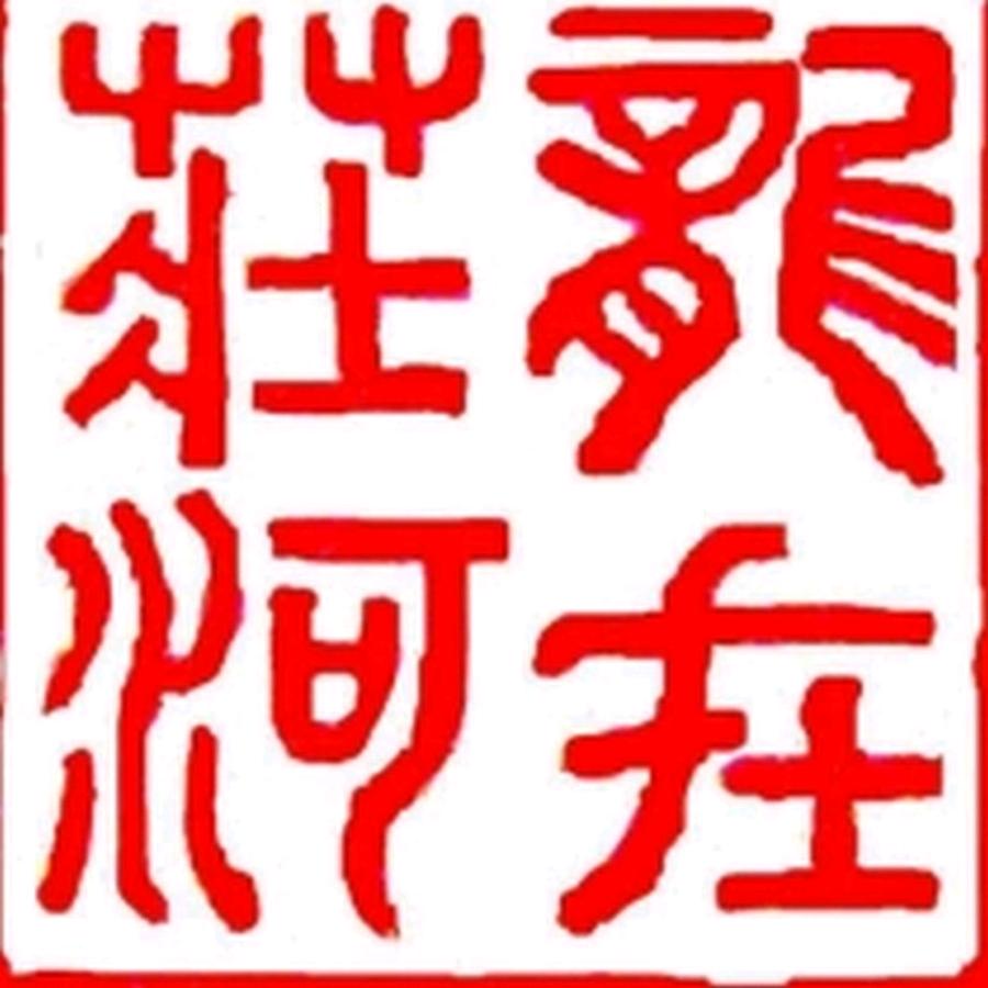 龙在庄河（航拍庄河）