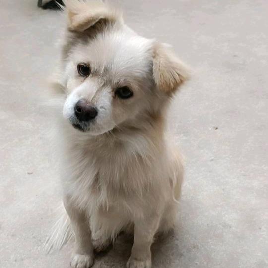 随缘♥