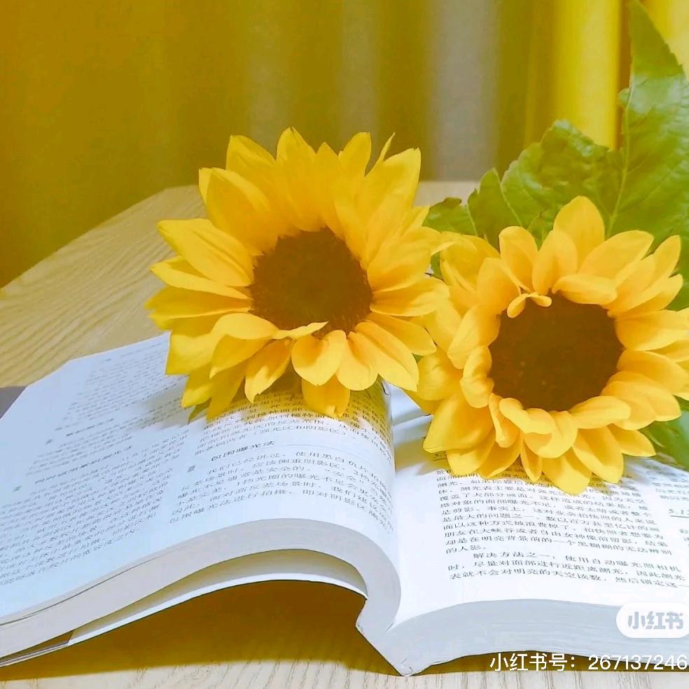 一缕阳光☀️