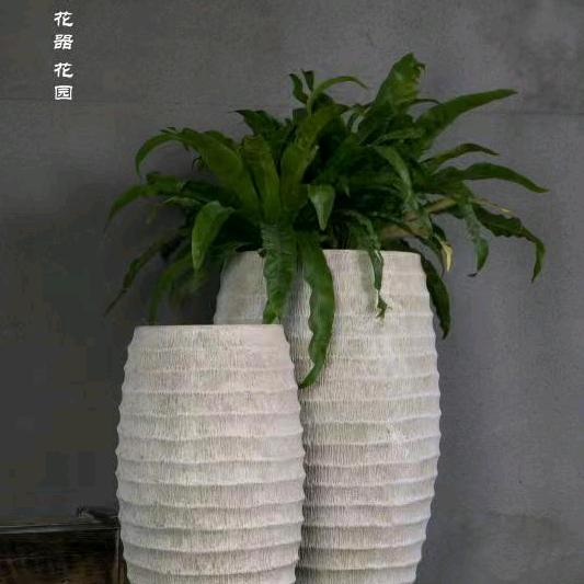 植物城堡园艺中心