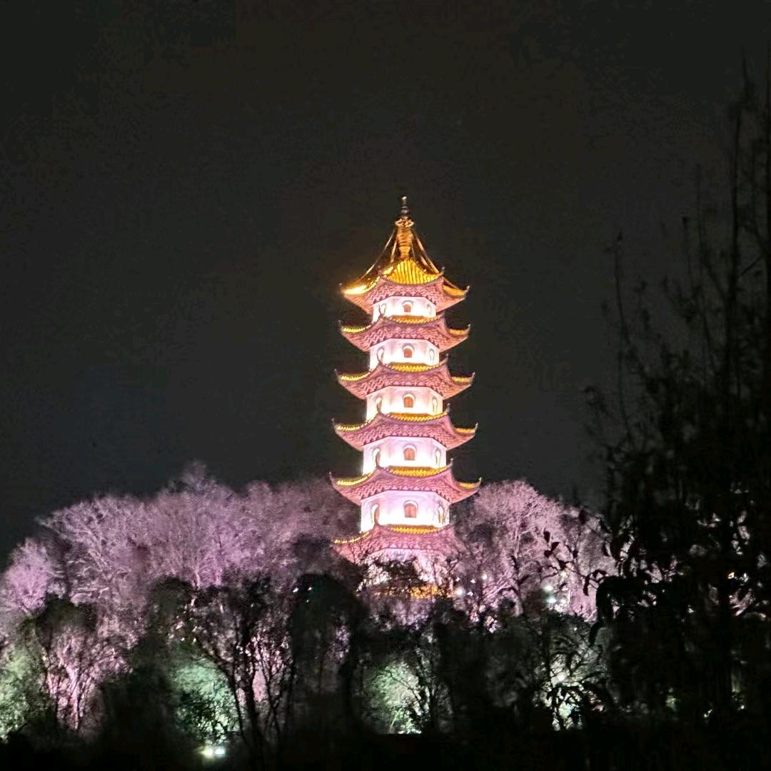 随心5544