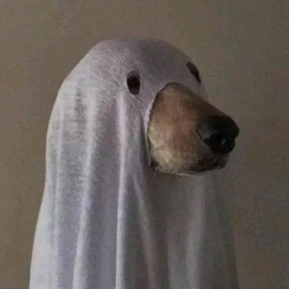 宇宙无敌爆炸大情种